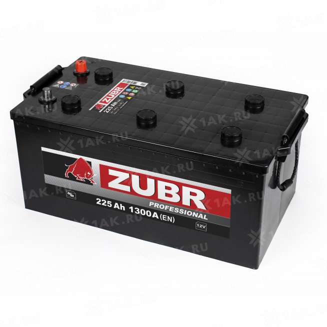 Аккумулятор ZUBR Professional (225 Ah, 12 V) Прямая, L+ D6 арт.676154 2