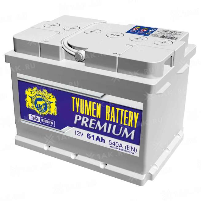 Аккумулятор Тюмень Премиум (61 Ah, 12 V) R+ L2 арт.TNP61.0n 0