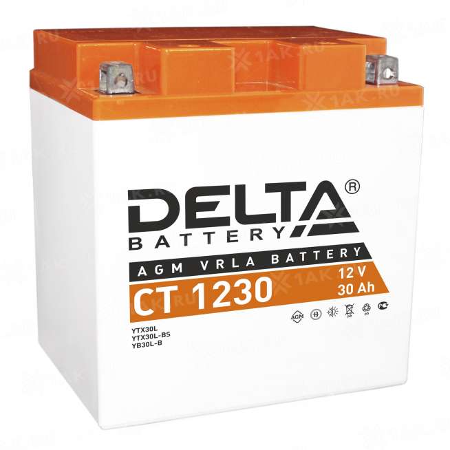 Аккумулятор DELTA (30 Ah, 12 V) Обратная, R+ YTX30L-BS арт.CT 1230 0