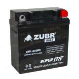 Аккумулятор ZUBR (5 Ah, 12 V) Обратная, R+ YB5L-B арт.YB5L-BS (MF)