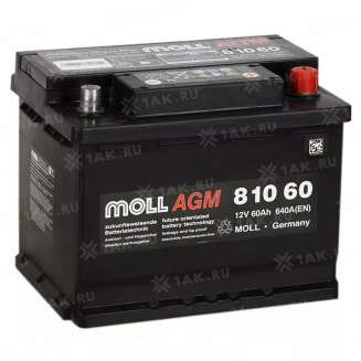Купить аккумулятор MOLL AGM (60 Ач) 640 A, 12 V Обратная, R+ арт.81060 ...