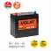 Аккумулятор VOLAT Prime Asia (45 Ач, 12 V) Прямая, L+ B24 арт.VSA451 1