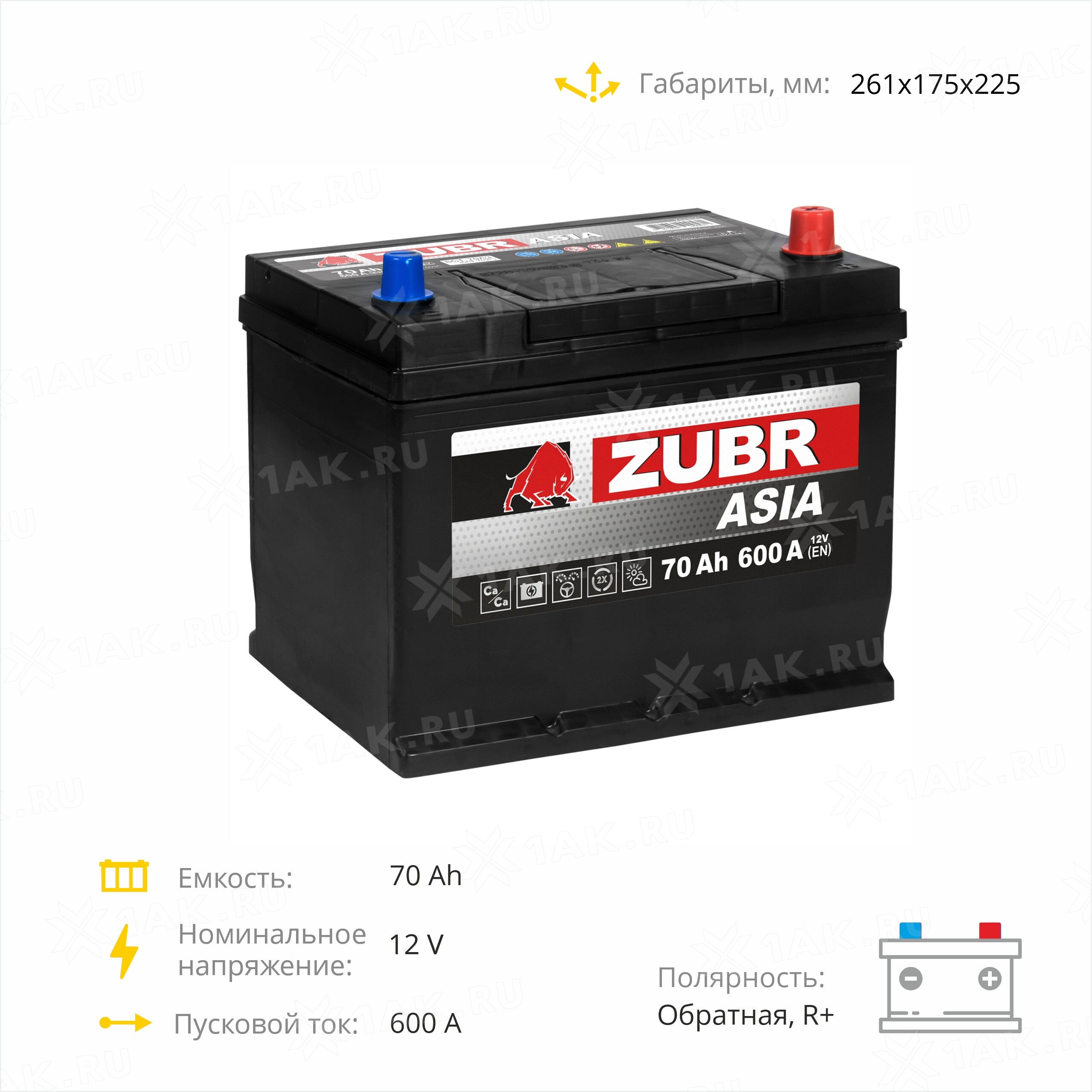 Аккумулятор ZUBR Ultra Asia (70 Ah, 12 V) Обратная, R+ D26 арт.ZSA700