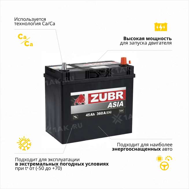 Аккумулятор ZUBR Ultra Asia (45 Ah, 12 V) Обратная, R+ B24 арт.676143 2
