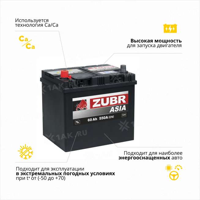 Аккумулятор ZUBR Ultra Asia (60 Ah, 12 V) Прямая, L+ D23 арт.ZSA601 3