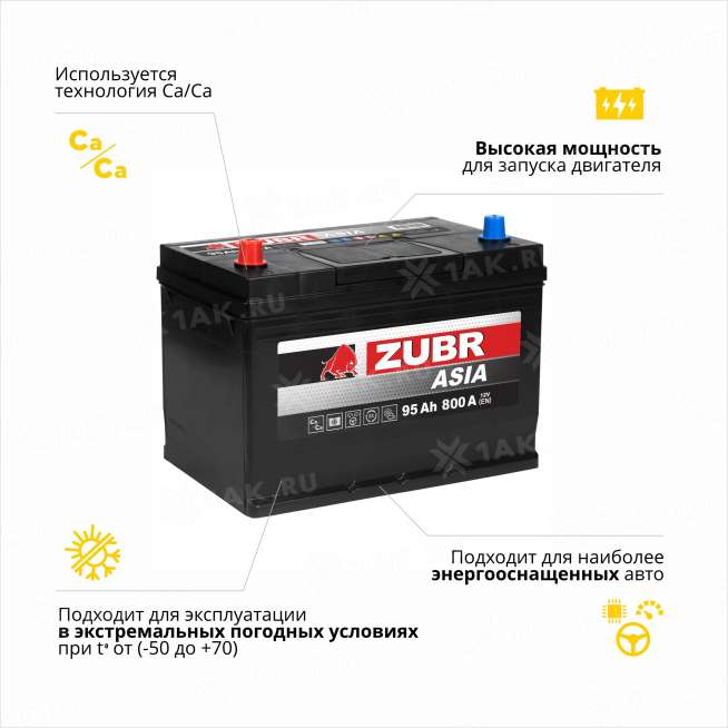 Аккумулятор ZUBR Ultra Asia (95 Ah, 12 V) Прямая, L+ D31 арт.ZSA951 3