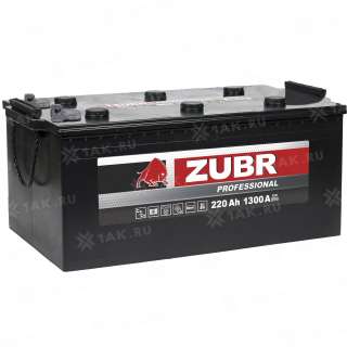 Аккумулятор ZUBR Professional (220 Ah, 12 V) R+ Грузовая, Прямая D5 арт.ZPT2204