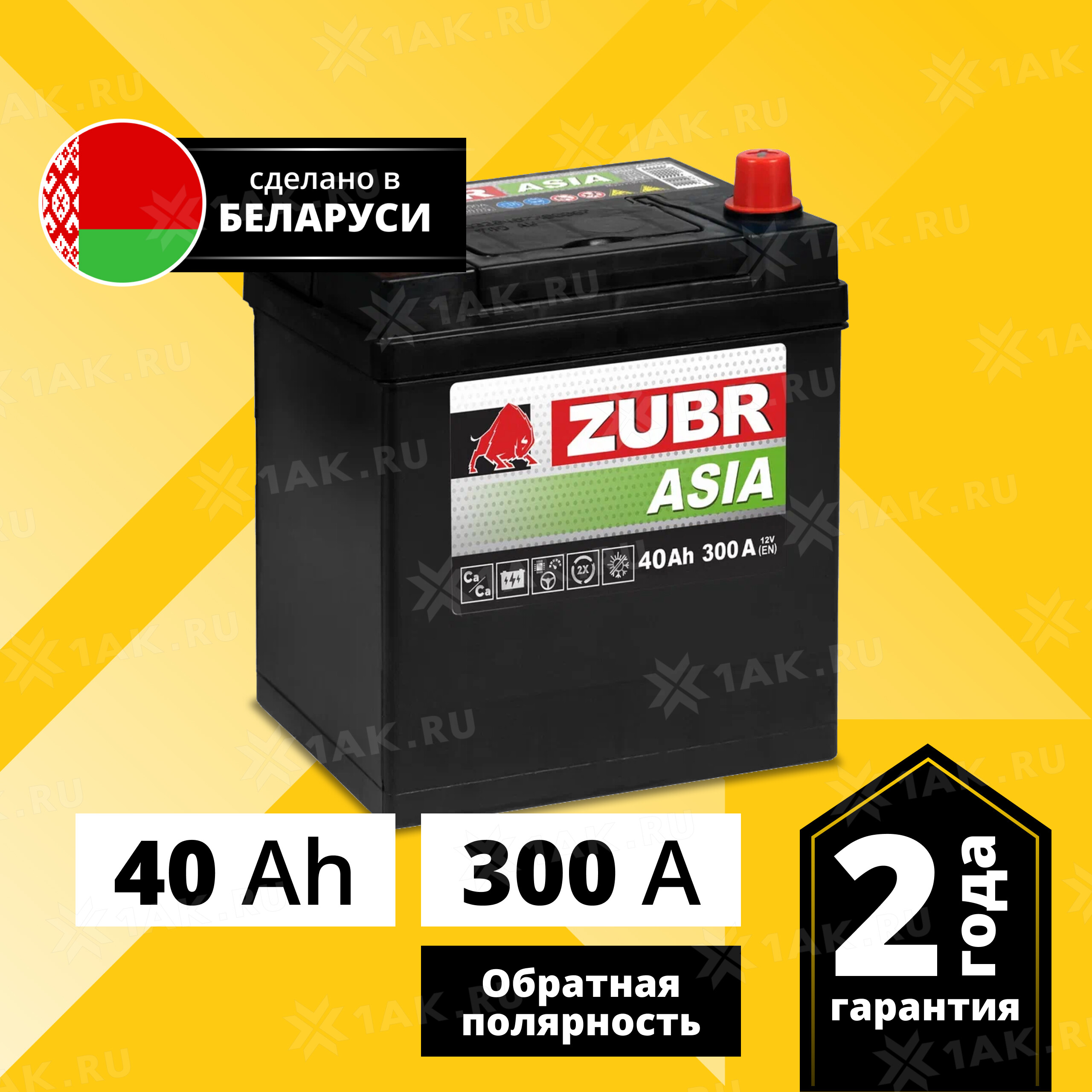 Купить аккумулятор ZUBR Premium Asia (40 Ah) 300 A, 12 V Обратная, R+  арт.ZPA400 с бесплатной доставкой – 1AK.RU