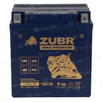 Аккумулятор ZUBR (30 Ah, 12 V) Обратная, R+ YB30L-BS арт.YB30L-BS (ZubrPrem) 3