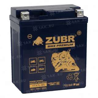 Аккумулятор ZUBR (7 Ah, 12 V) Обратная, R+ YTX7L-BS арт.YTX7L-BS (ZubrPrem)