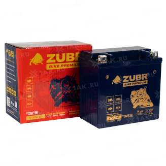 Аккумулятор ZUBR (14 Ah, 12 V) Прямая, L+ YTX14-BS арт.YTX14-BS (ZubrPrem) 1