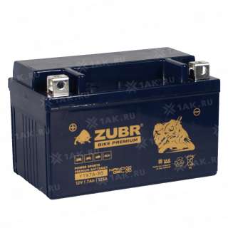 Аккумулятор ZUBR (7 Ah, 12 V) Прямая, L+ YTX7A-BS арт.YTX7A-BS (ZubrPrem)