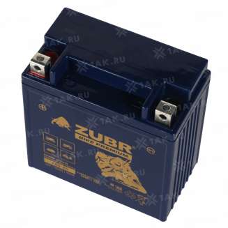 Аккумулятор ZUBR (10 Ah, 12 V) Прямая, L+ YB9-BS арт.YB9-BS (ZubrPrem) 3