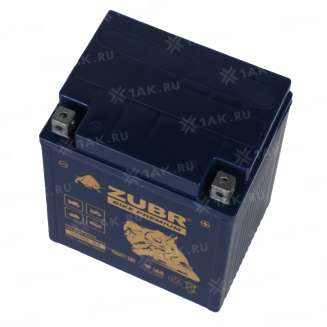 Аккумулятор ZUBR (30 Ah, 12 V) Обратная, R+ YB30L-BS арт.YB30L-BS (ZubrPrem) 4