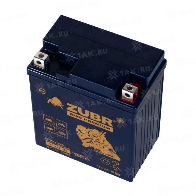 Аккумулятор ZUBR (7 Ah, 12 V) Обратная, R+ YTX7L-BS арт.YTX7L-BS (ZubrPrem) 3