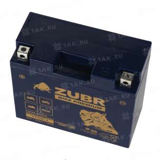 Аккумулятор ZUBR (10 Ah, 12 V) Прямая, L+ YT12B-4 арт.YT12B-4 (ZubrPrem) 3