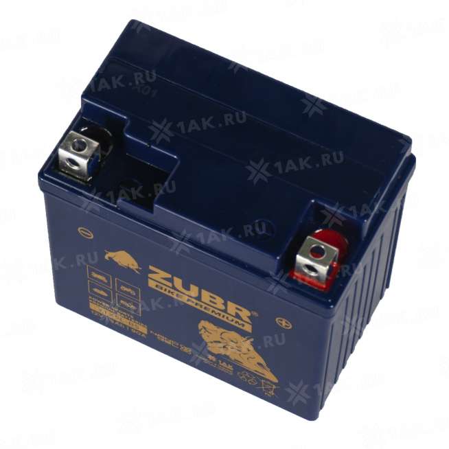 Аккумулятор ZUBR (5 Ah, 12 V) Обратная, R+ YTX5L-BS арт.YTX5L-BS (ZubrPrem) 3