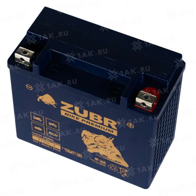 Аккумулятор ZUBR (20 Ah, 12 V) Обратная, R+ YT20L-4 арт.YT20L-4 (ZubrPrem) 4