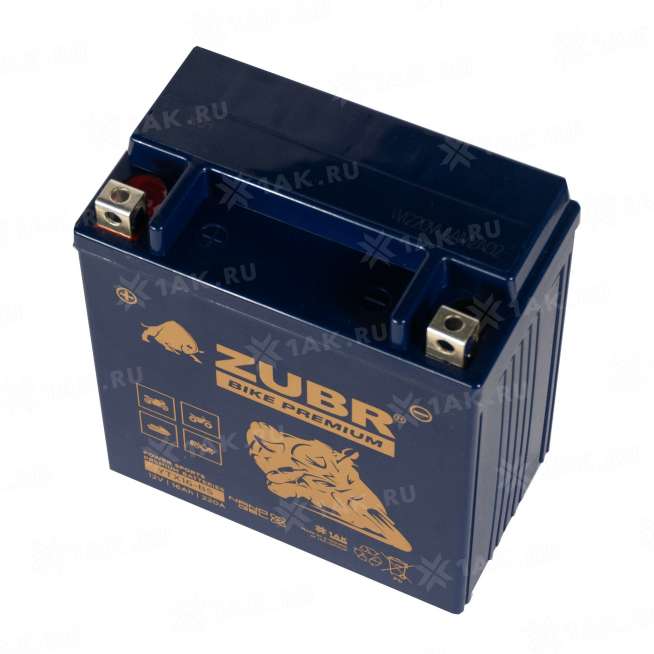 Аккумулятор ZUBR (16 Ah, 12 V) Прямая, L+ YTX16-BS арт.YTX16-BS (ZubrPrem) 4