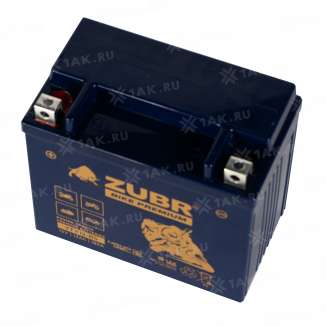 Аккумулятор ZUBR (12 Ah, 12 V) Прямая, L+ YTX12-BS арт.YTX12-BS (ZubrPrem) 3
