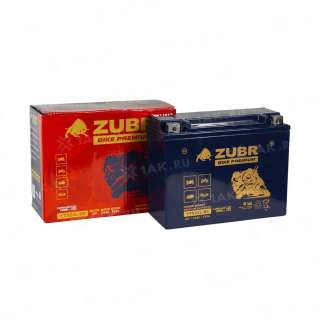 Аккумулятор ZUBR (24Ач, 12 V) Обратная, R+ YTX24L-BS арт.YTX24L-BS (ZubrPrem)