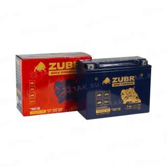 Аккумулятор ZUBR (24Ач, 12 V) Обратная, R+ YTX24L-BS арт.YTX24L-BS (ZubrPrem) 2