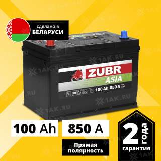 Аккумулятор ZUBR Premium Asia (100Ач, 12 V) Прямая, L+ D31 арт.ZPA1001