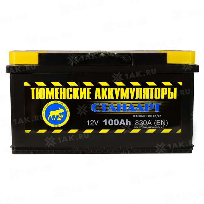Аккумулятор ТЮМЕНЬ Стандарт (100 Ач, 12 V) Обратная, R+ L5 арт.TNS100.0 0