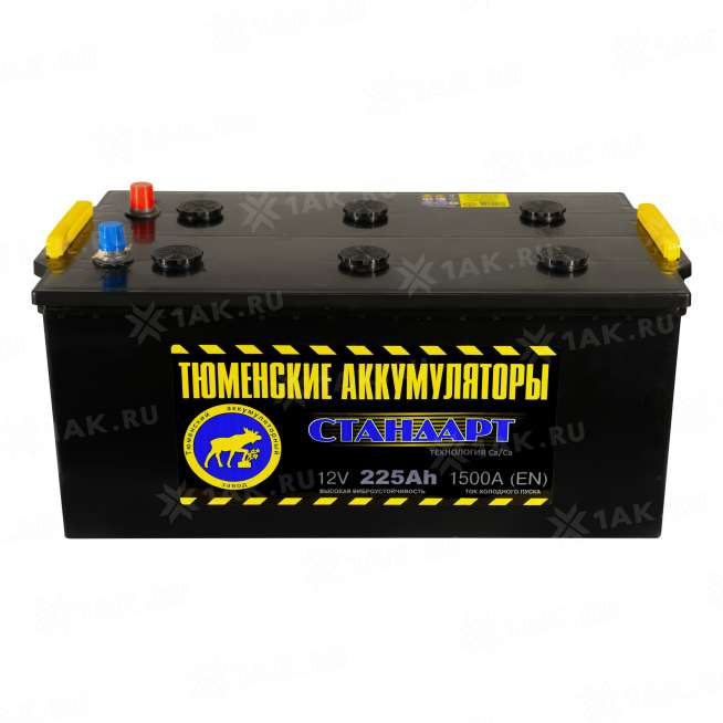 Аккумулятор ТЮМЕНЬ Стандарт (225 Ач, 12 V) L+ Грузовая, Обратная D6 арт.TNS225.3 0