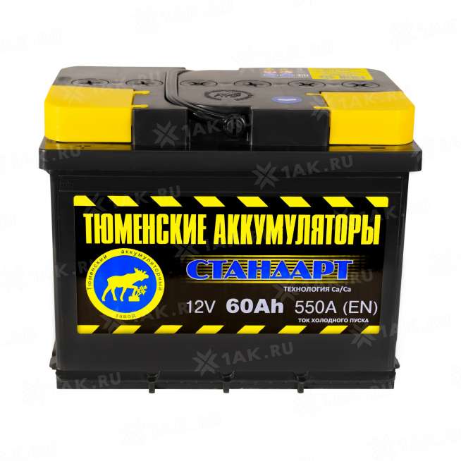 Аккумулятор ТЮМЕНЬ Стандарт (60 Ач, 12 V) Прямая, L+ L2 арт.TNS60.1 0