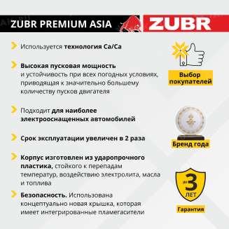 Аккумулятор ZUBR Premium Asia (100 Ач, 12 V) Прямая, L+ D31 арт.ZPA1001 4