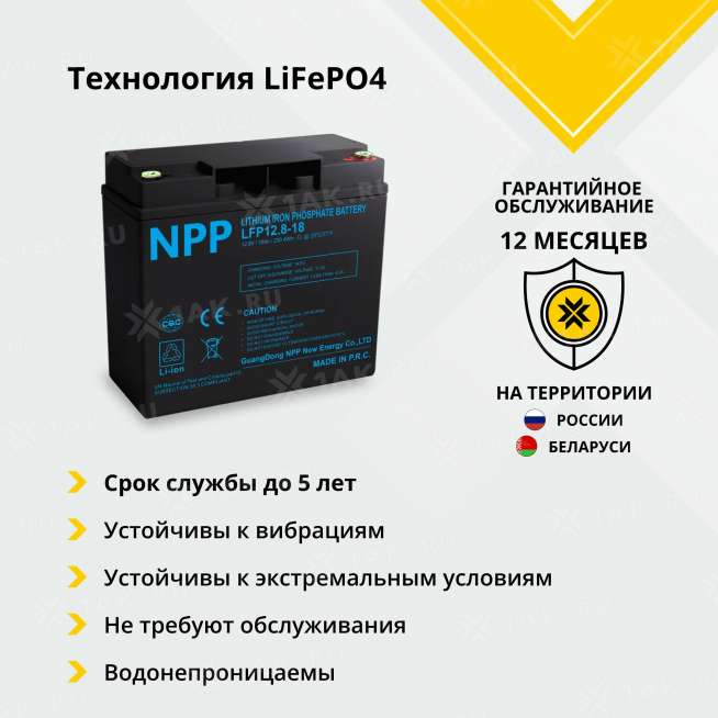 Аккумулятор NPP (18 Ач, 12.8 V)  арт.NSFD018Q10-LFP 2