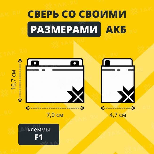 Аккумулятор ZUBR (4.5 Ач,6 V) AGM 70x47x101/107 мм 0.78 кг 2