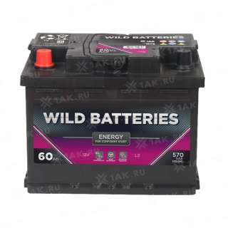 Аккумулятор Wild Batteries (60 Ач, 12 V) Прямая, L+ L2 арт.WB601E Аккумулятор Wild Batteries (60 Ач, 12 V) Прямая, L+ L2 арт.WB601E