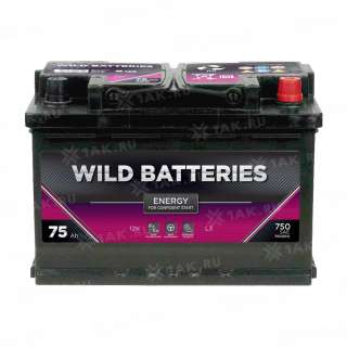 Аккумулятор Wild Batteries (75 Ач, 12 V) Обратная, R+ L3 арт.WB750E Аккумулятор Wild Batteries (75 Ач, 12 V) Обратная, R+ L3 арт.WB750E