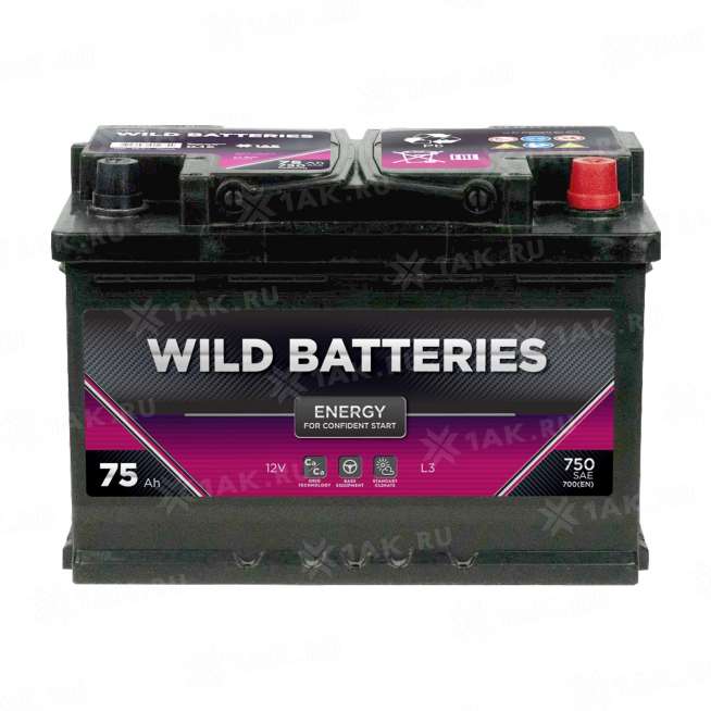 Аккумулятор Wild Batteries (75 Ач, 12 V) Обратная, R+ L3 арт.WB750E 0 Аккумулятор Wild Batteries (75 Ач, 12 V) Обратная, R+ L3 арт.WB750E 0