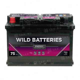 Аккумулятор Wild Batteries (75 Ач, 12 V) Прямая, L+ L3 арт.WB751E Аккумулятор Wild Batteries (75 Ач, 12 V) Прямая, L+ L3 арт.WB751E