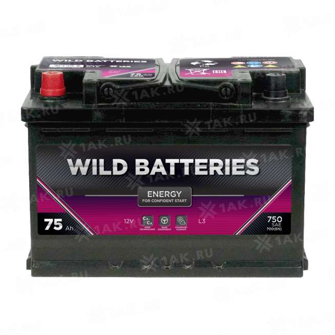 Аккумулятор Wild Batteries (75 Ач, 12 V) Прямая, L+ L3 арт.WB751E 0 Аккумулятор Wild Batteries (75 Ач, 12 V) Прямая, L+ L3 арт.WB751E 0