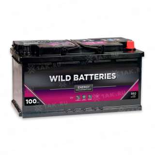 Аккумулятор Wild Batteries (100 Ач, 12 V) Обратная, R+ L5 арт.WB1000E Аккумулятор Wild Batteries (100 Ач, 12 V) Обратная, R+ L5 арт.WB1000E