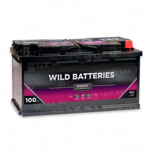 Аккумулятор Wild Batteries (100 Ач, 12 V) Обратная, R+ L5 арт.WB1000E 0 Аккумулятор Wild Batteries (100 Ач, 12 V) Обратная, R+ L5 арт.WB1000E 0