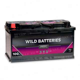 Аккумулятор Wild Batteries (100 Ач, 12 V) Прямая, L+ L5 арт.WB1001E Аккумулятор Wild Batteries (100 Ач, 12 V) Прямая, L+ L5 арт.WB1001E
