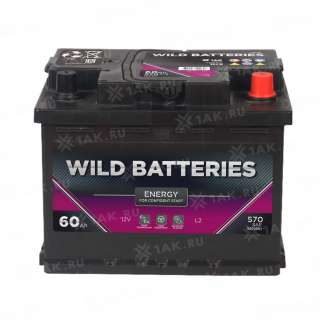 Аккумулятор Wild Batteries (60 Ач, 12 V) Обратная, R+ L2 арт.WB600E Аккумулятор Wild Batteries (60 Ач, 12 V) Обратная, R+ L2 арт.WB600E