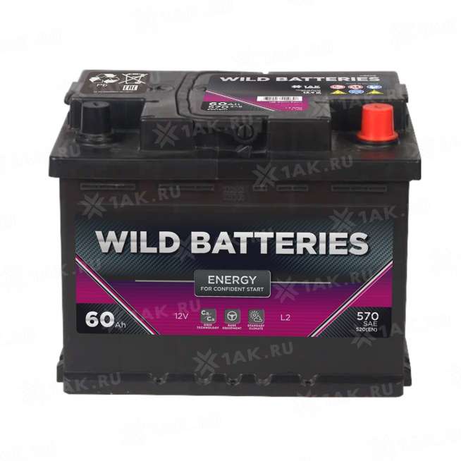 Аккумулятор Wild Batteries (60 Ач, 12 V) Обратная, R+ L2 арт.WB600E 0 Аккумулятор Wild Batteries (60 Ач, 12 V) Обратная, R+ L2 арт.WB600E 0