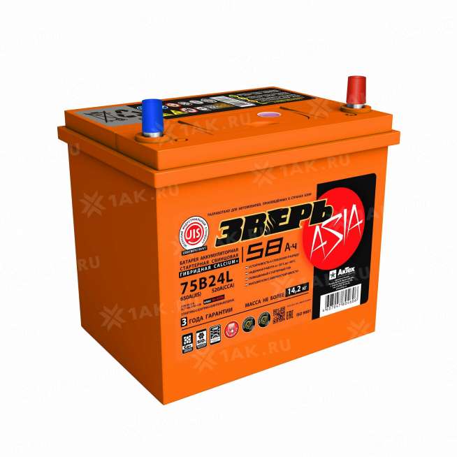 Аккумулятор ЗВЕРЬ (58 Ач, 12 V) Обратная, R+ B24 арт. 0