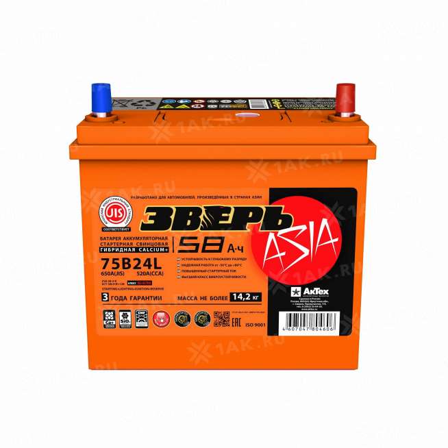 Аккумулятор ЗВЕРЬ (58 Ач, 12 V) Обратная, R+ B24 арт. 1