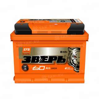 Аккумулятор ЗВЕРЬ EFB 60 Ач, 12 V Обратная, R+ L2