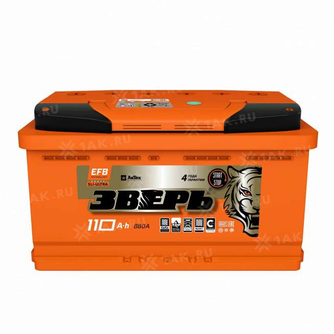 Аккумулятор ЗВЕРЬ EFB 110 Ач, 12 V Обратная, R+ L5 0