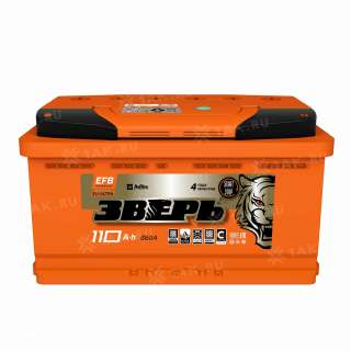 Аккумулятор ЗВЕРЬ EFB 110 Ач, 12 V Обратная, R+ L5