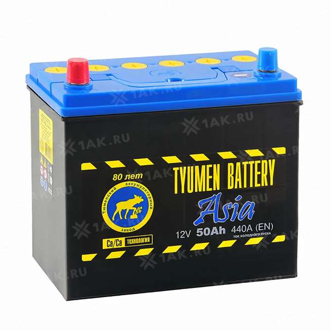Аккумулятор ТЮМЕНЬ (50 Ач, 12 V) Прямая, L+ B24 арт.TNSa50.1 0
